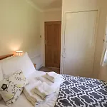 Foresters Nyaraló Rusland